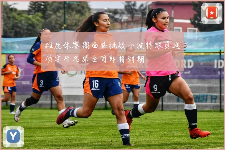 雄鹿休赛期面临挑战小波特球员选项字母兄弟合同即将到期